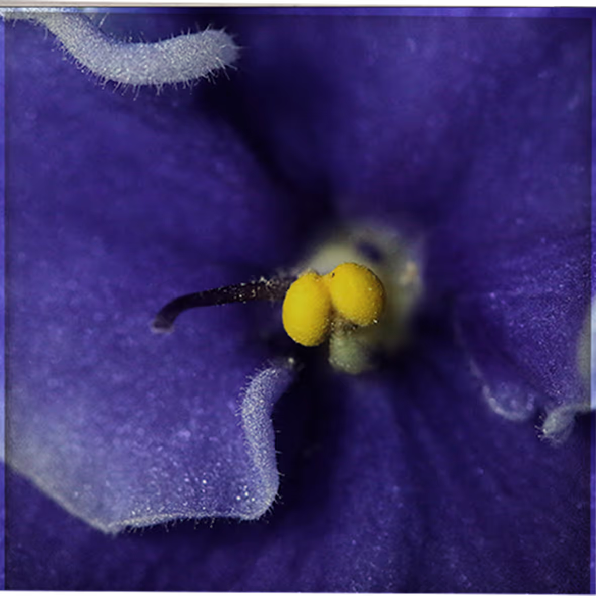 Photo by Angle Kanner