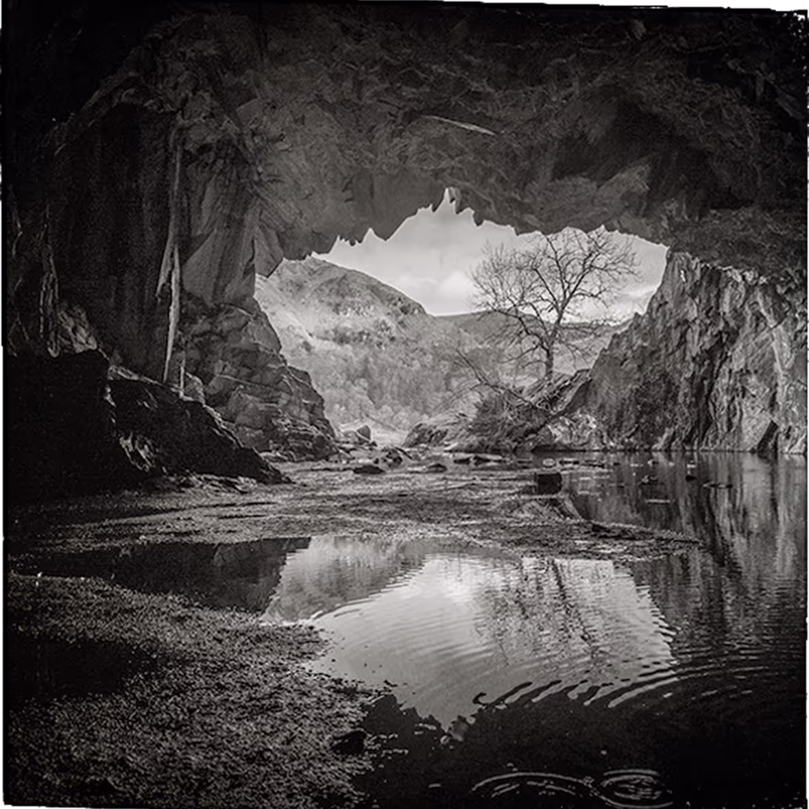 Photo by Steve Watson