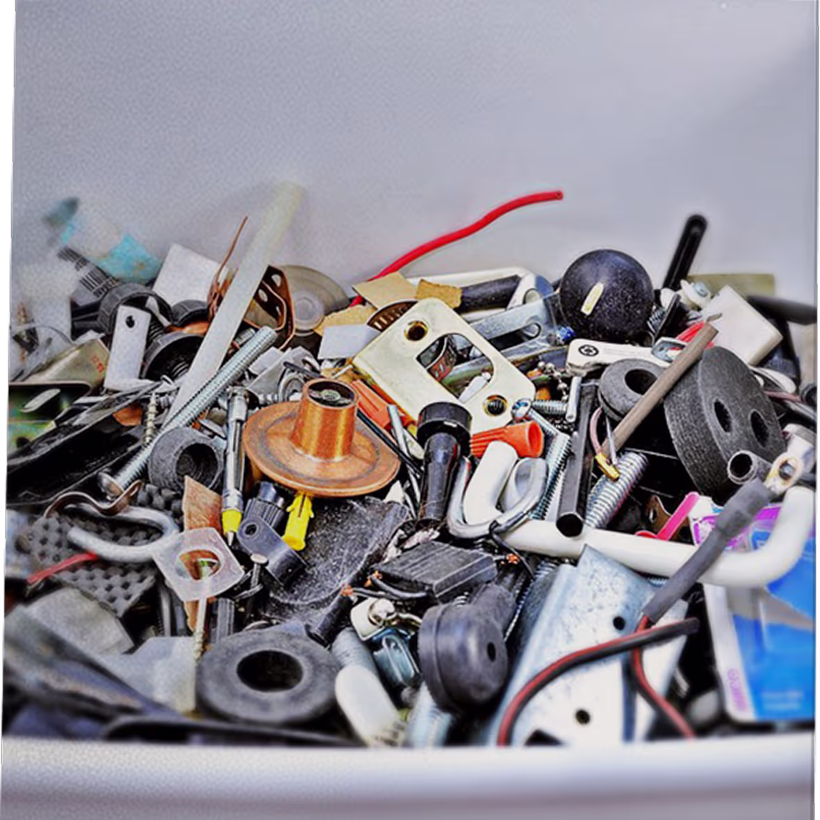 Photo by Sue Thompson