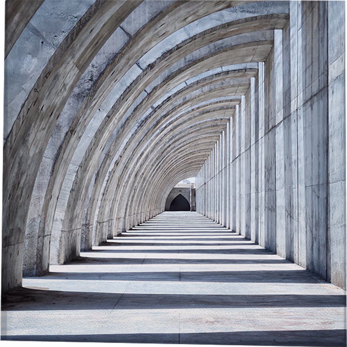 Photo by Bio. Milch.