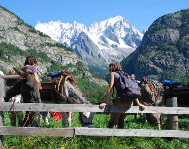 Tour du Mont Blanc famille �� pied avec des enfants et des ânes