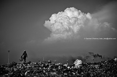 An unforeseen puerility