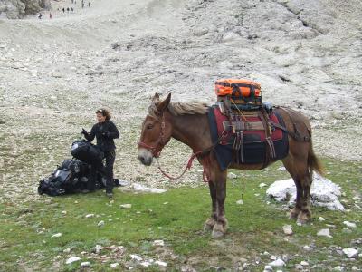 Randonnée avec mule dans les Dolomites